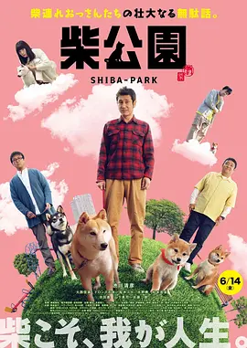 小丈母娘们.